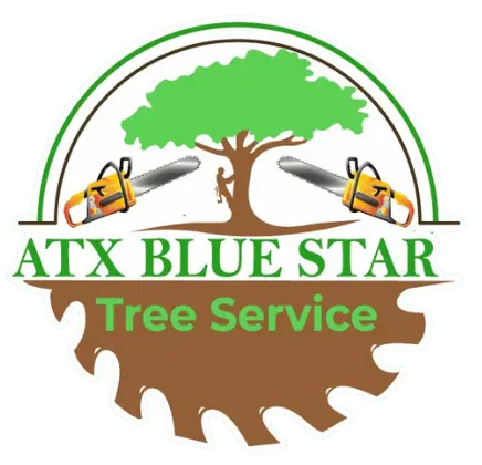 Logo for ATX Blue Star Tree Services featuring a tree with two chainsaws on either side. The name is written in green, and the bottom resembles a saw blade, perfectly capturing the essence of expert tree services.