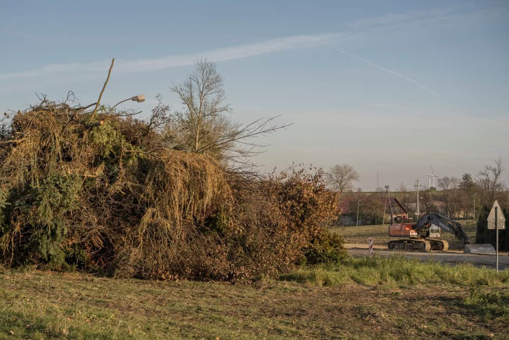 A pile of tree branches and foliage lies on the grass near a dirt road. In the background, a construction vehicle operates, surrounded by trees and grass under a clear sky.