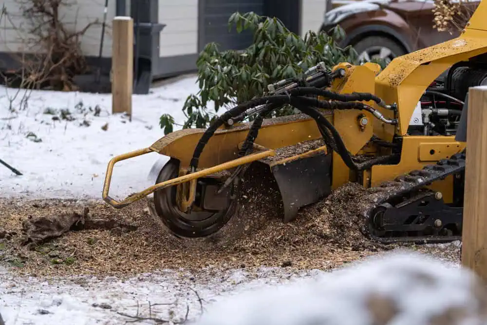 A yellow stump grinder actively grinds a tree stump in a snowy yard. Wood chips and debris scatter around the area, surrounded by snow and nearby trees. A car and partially visible house are in the background.