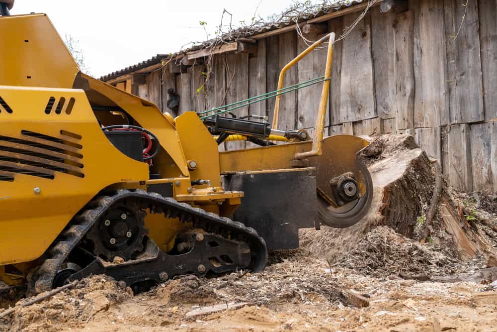 A yellow stump grinder with black tracks is cutting through a tree stump next to a weathered wooden structure. The machine is actively working, producing wood chips and sawdust around the stump.