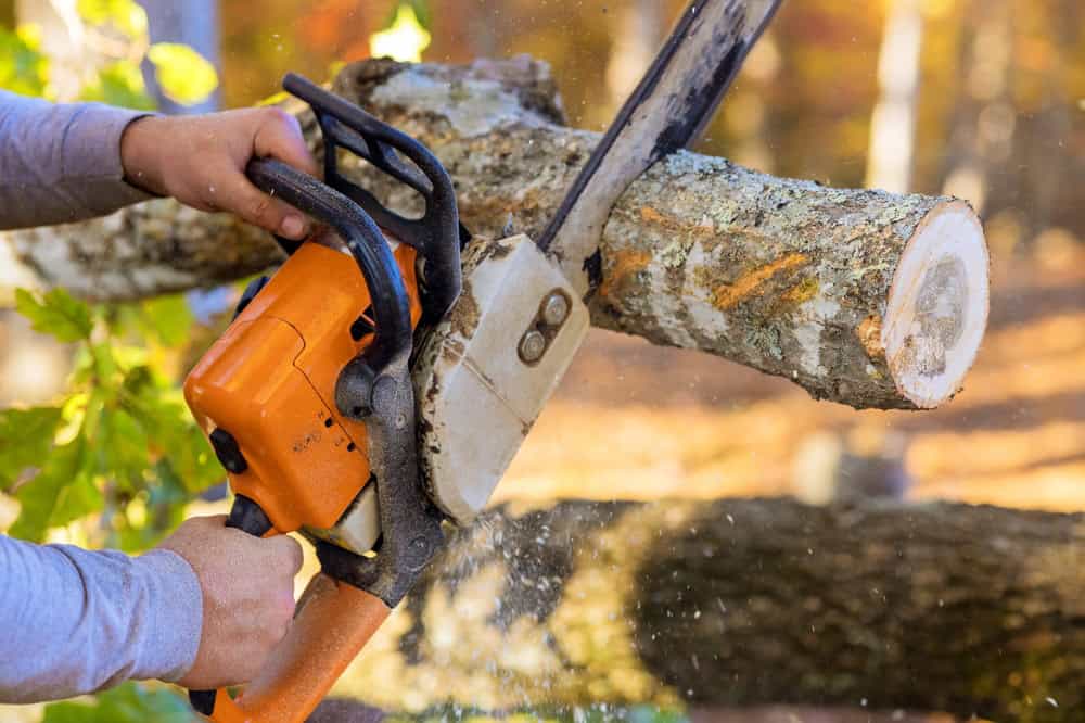 Hands operating a chainsaw are cutting through a thick tree branch. Sawdust is flying, and the background is a forest with autumn colors. The chainsaw is orange and black, while the bark of the wood is rough and textured.