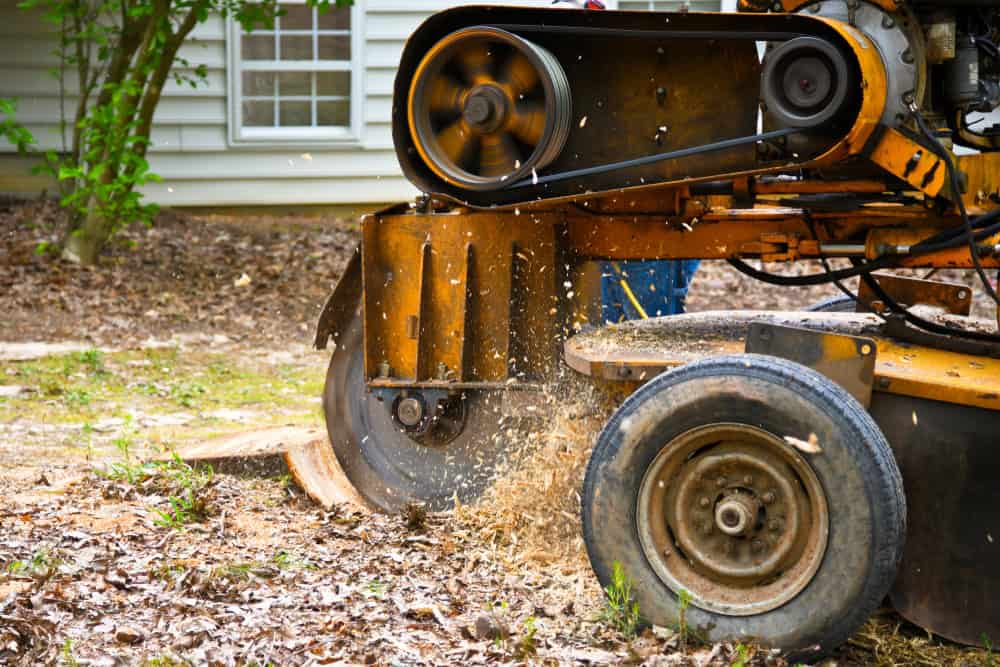 A stump grinder machine in action, chipping away at a tree stump surrounded by scattered wood chips and leaves. The machine's spinning blade and drive belt are visible, with a house and tree in the background.