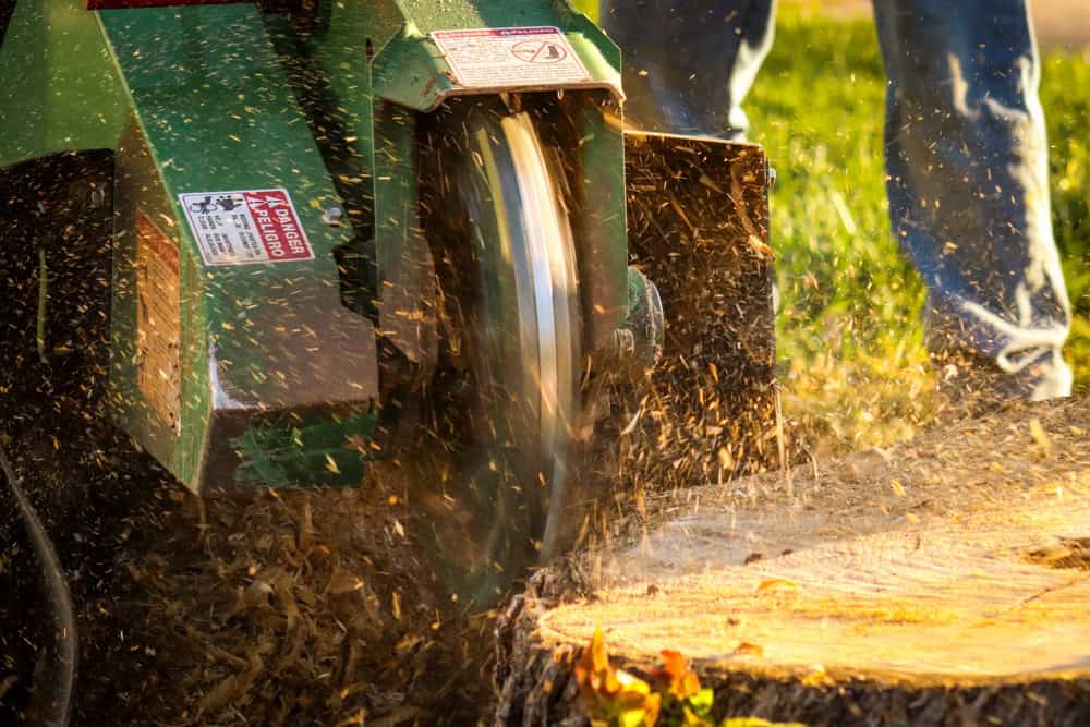 A green stump grinder in action, with wood chips flying as it cuts into a tree stump. The machine's spinning blade is visible, and two people stand close by, legs slightly visible. The background includes grass and sunlight.